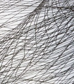 Onzie Side String Yoga Shorts Tangled -Pranty Yoga Shop 1740105744419 tangled 5a