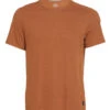 PrAna Men's Prospect Heights Crew Neck T-Shirt -Pranty Yoga Shop 4356114972715 cedar 1a
