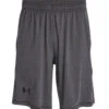Under Armour Men's UA Raid 10" Shorts